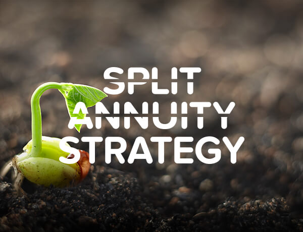 Split Annuity Strategy
