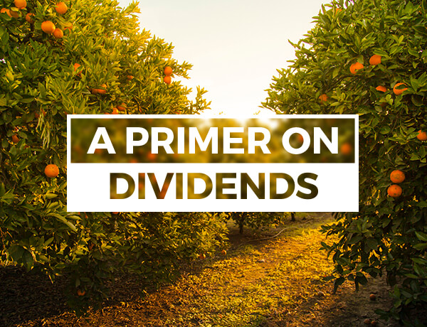 A Primer on Dividends