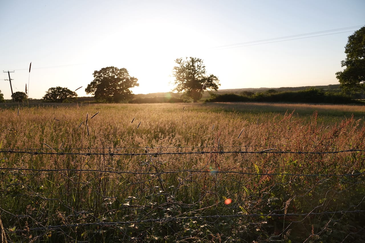 A photo of the sun cresting over the hill in the countryside