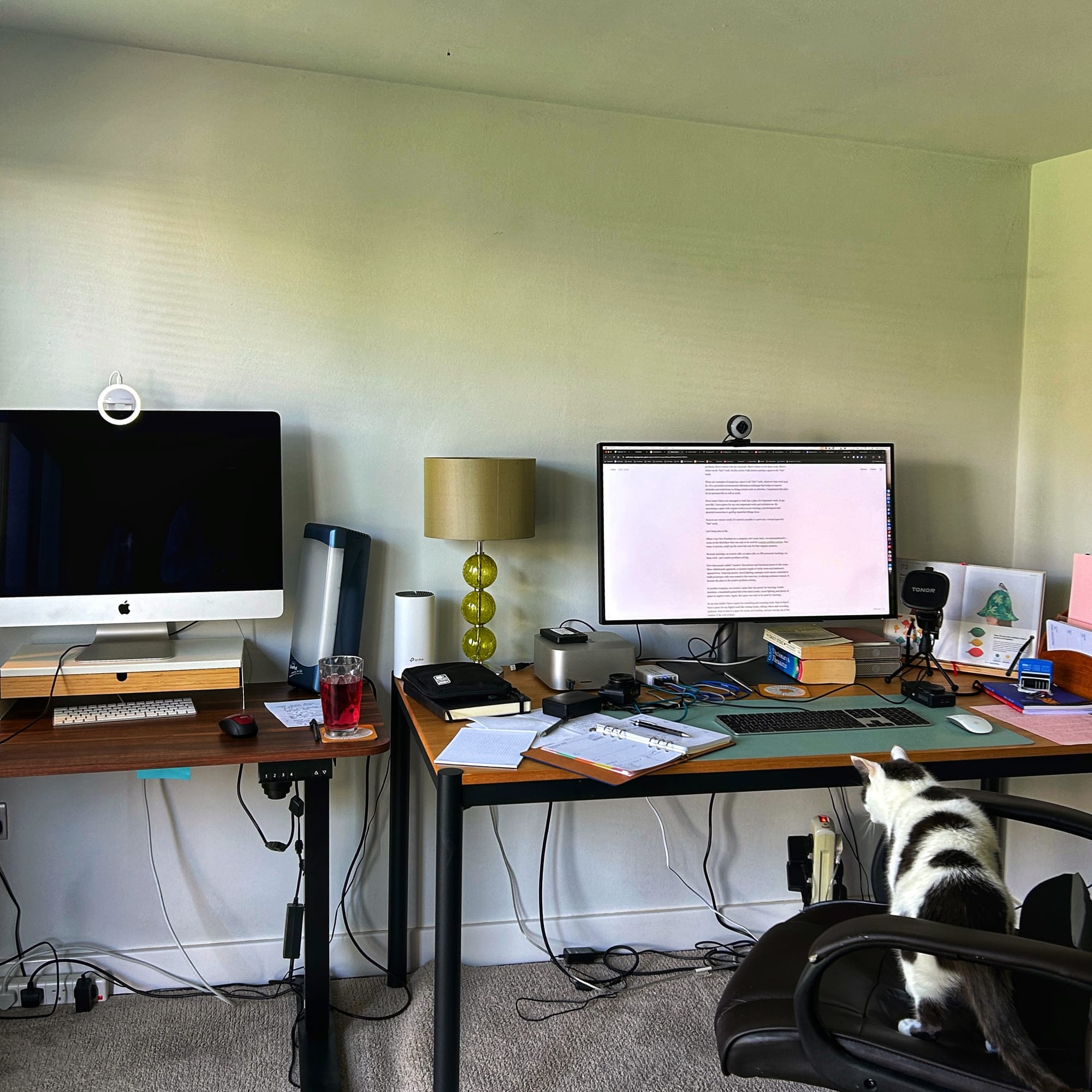 A photo of a desk with monitors on it