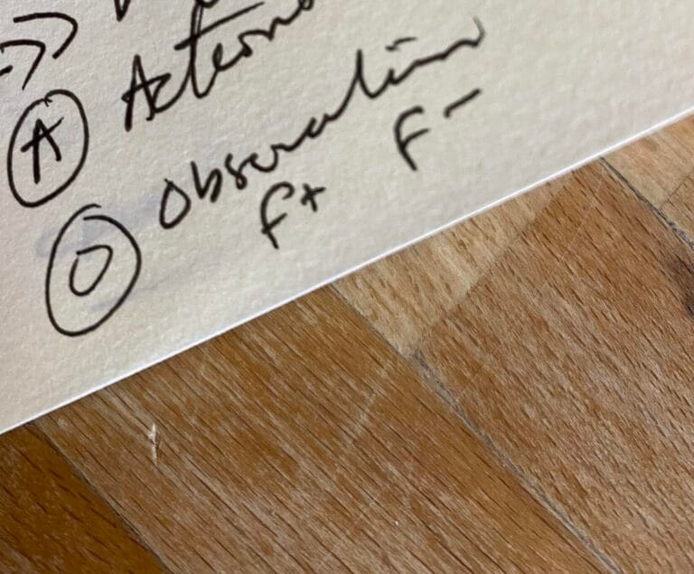 An image showing my labelling system and "O" for observation