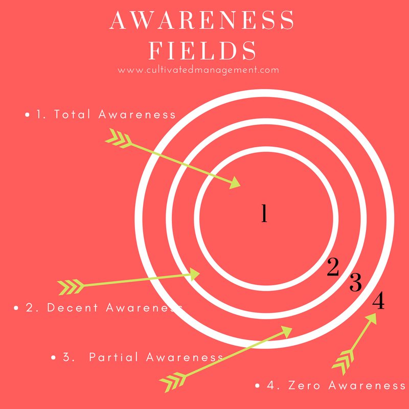 An image of the awareness fields model - concentric circles growing outwards to less awareness