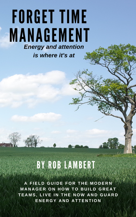 The Energy and Attention book cover