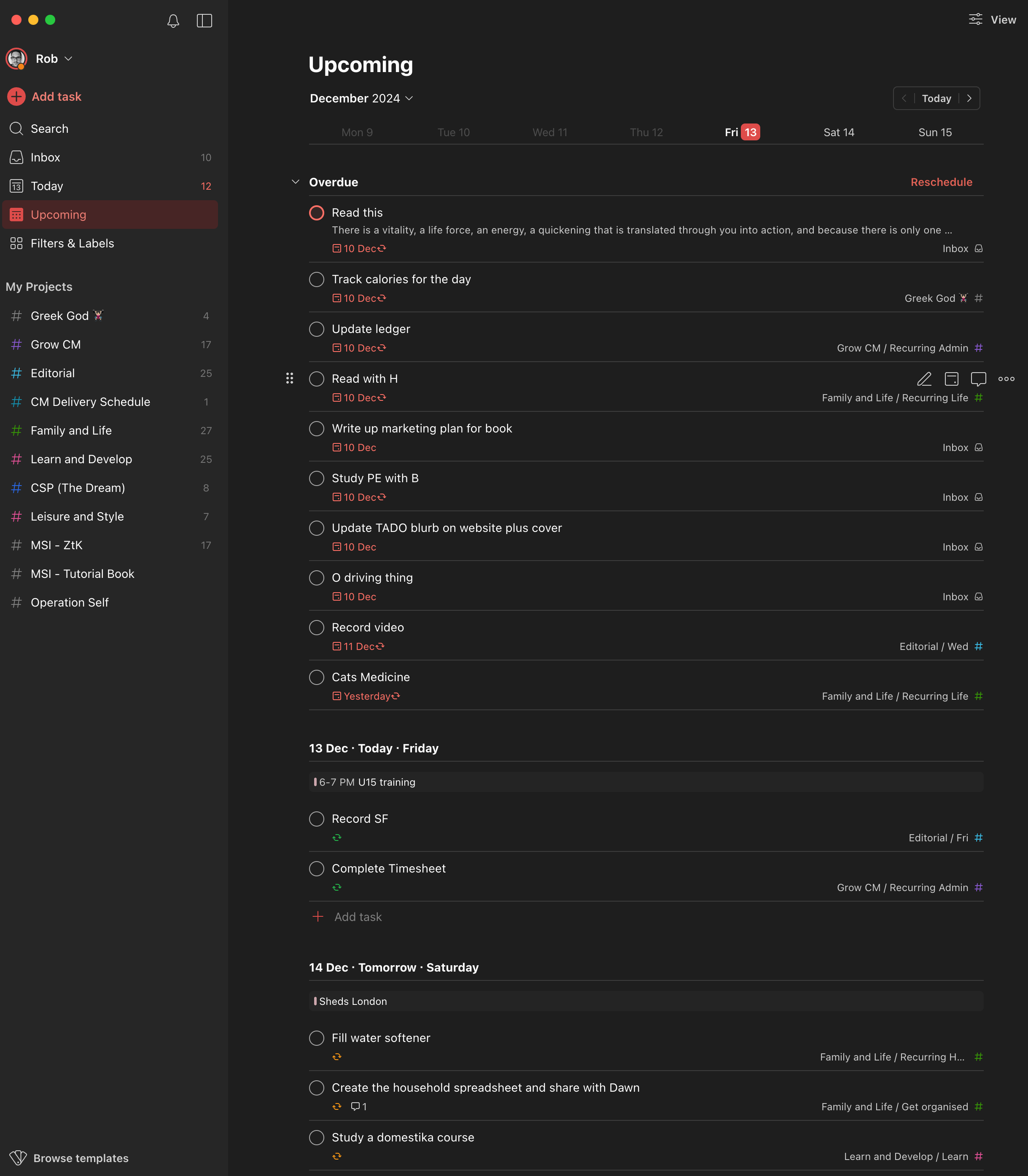 Screenshot showing "upcoming tasks" in ToDoist