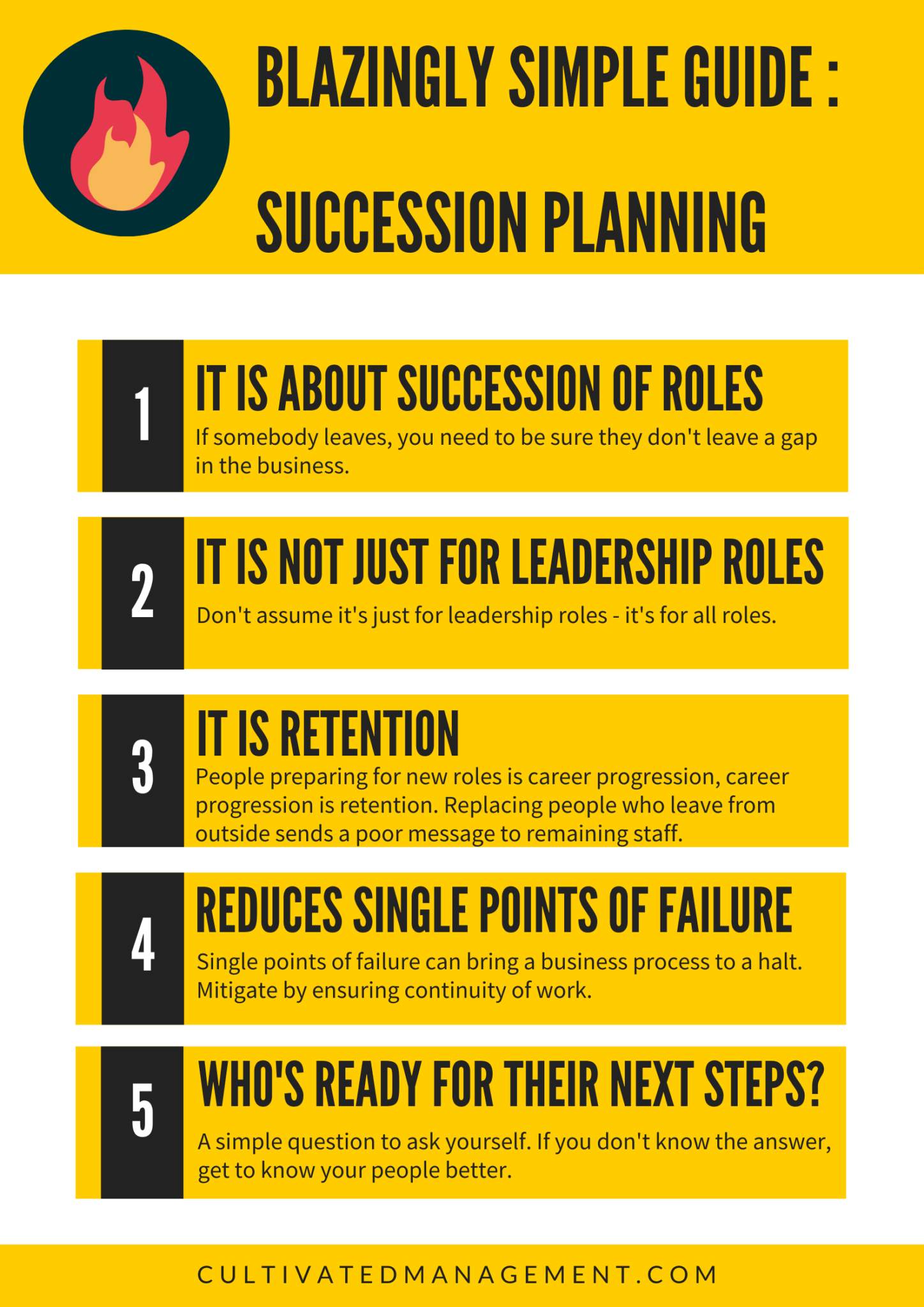 The succession planning infographic